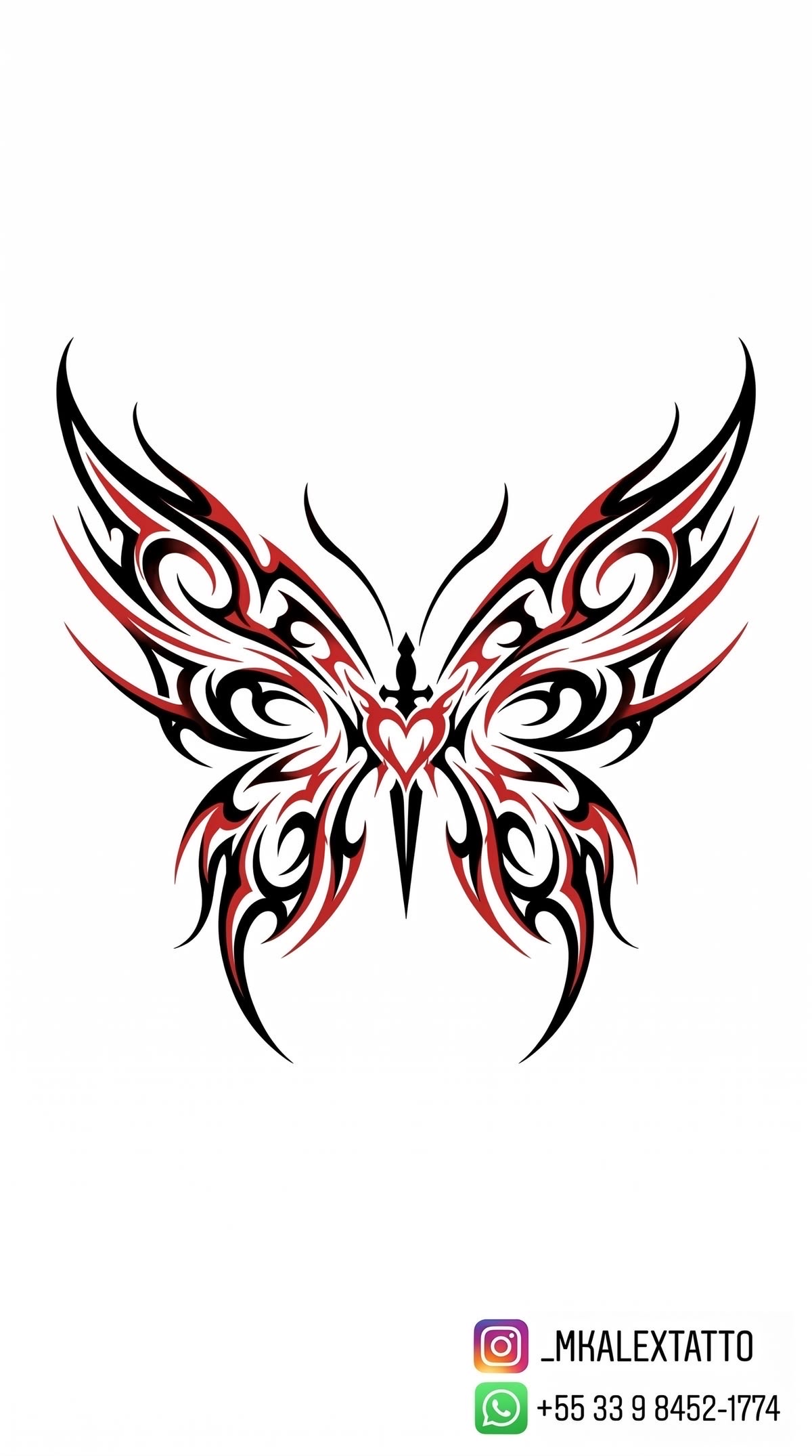 Exotic Butterfly