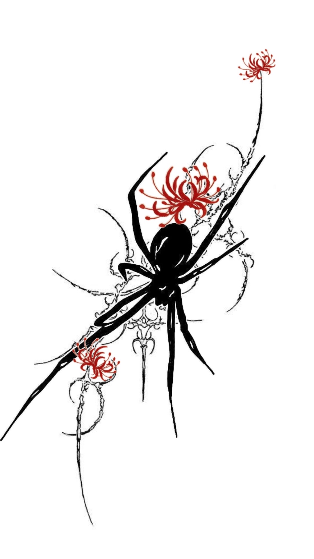 Spider