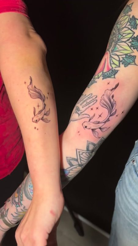 Delicate Koi Fish