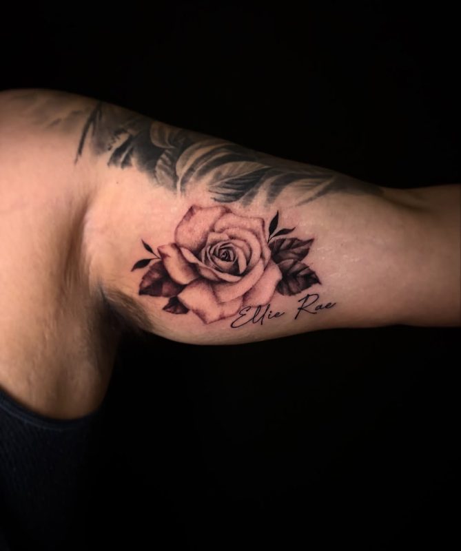 Black Gray Rose