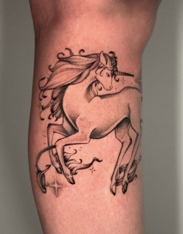 Unicorn Illustration