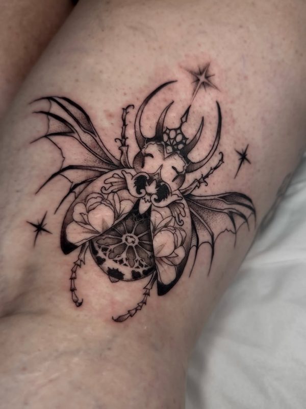 Ornate Beetle