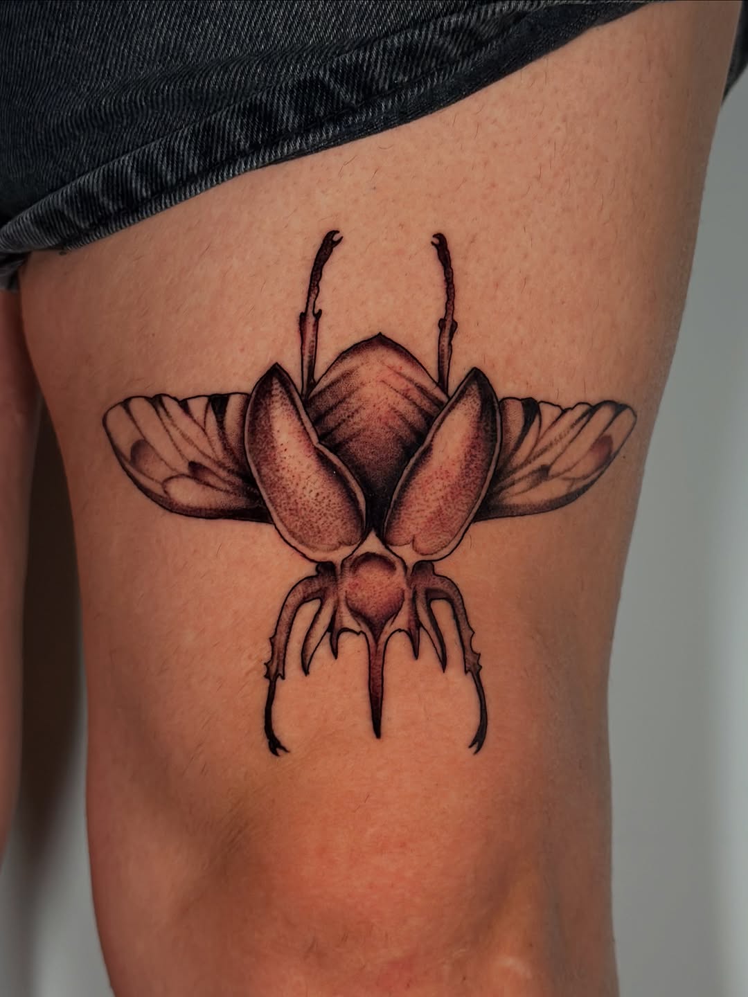 Beetle Tattoo