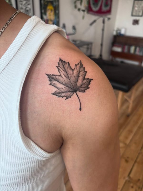 Dotwork Maple Leaf