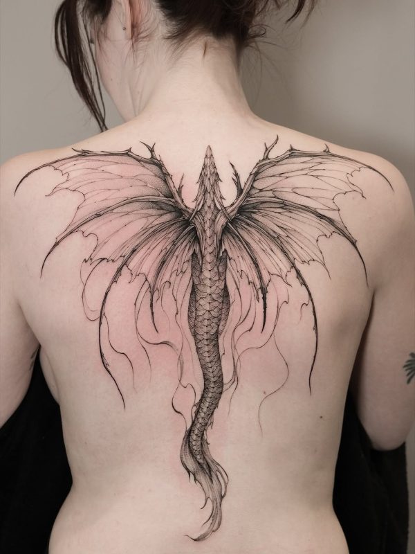 Delicate Dragon Wings