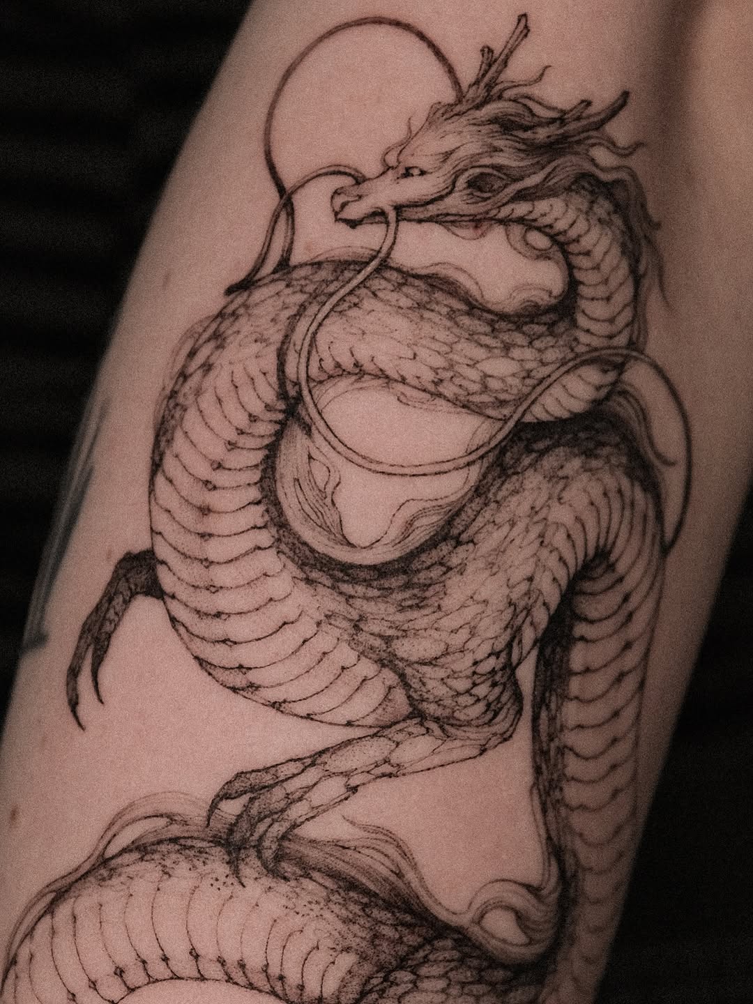 Japanese Dragon