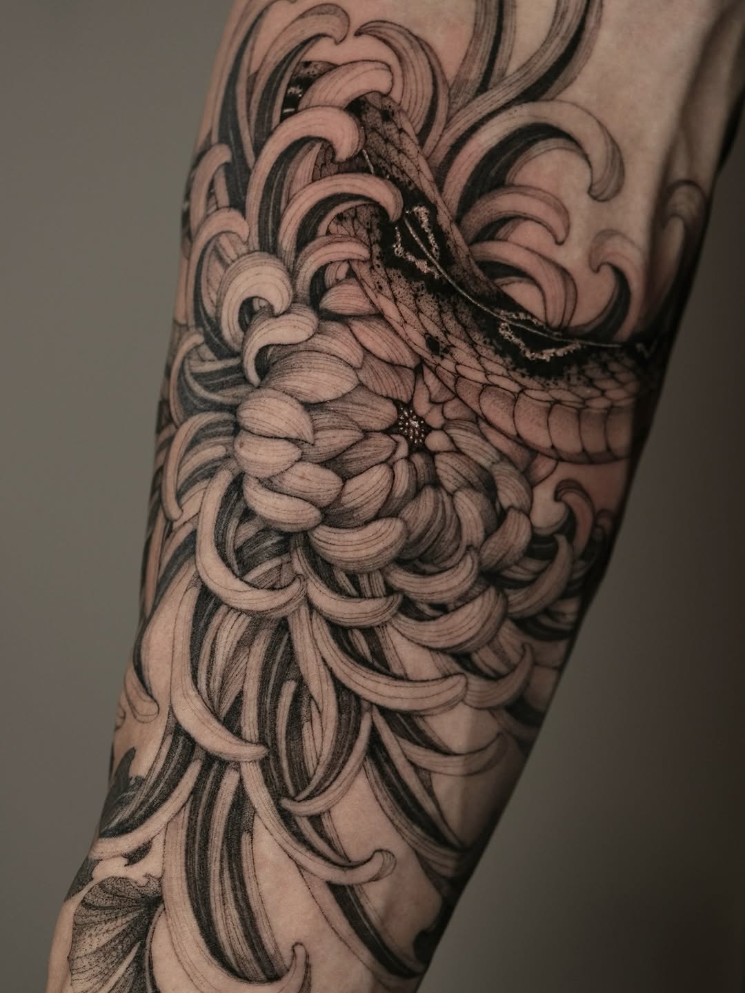 Japanese Floral Snake
