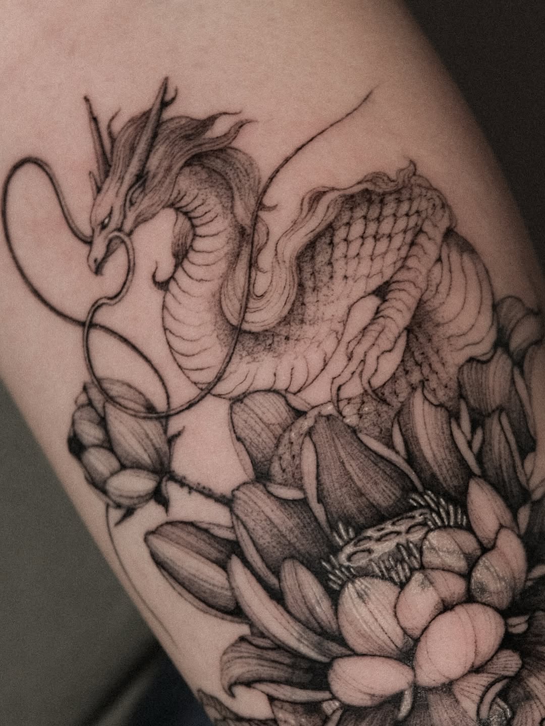 Dragon and Lotus