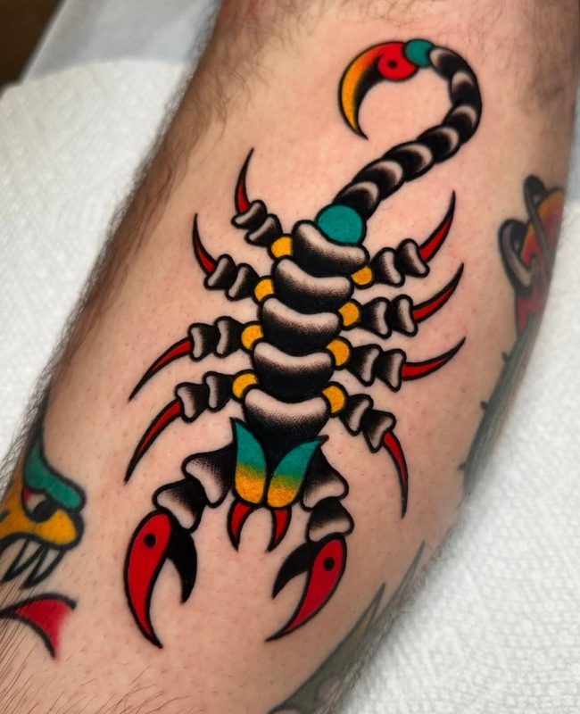 Colorful Scorpion