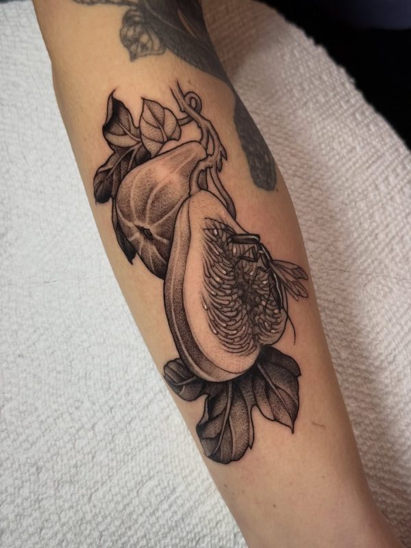 Dotwork Fig