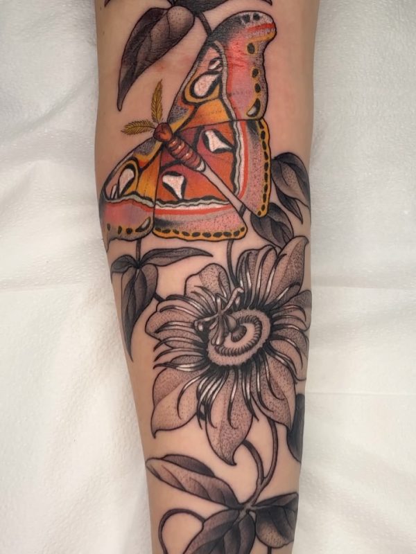 Butterfly and Flower