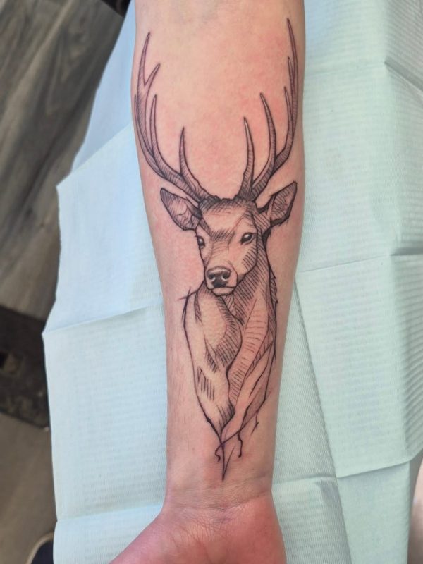 Deer Etching