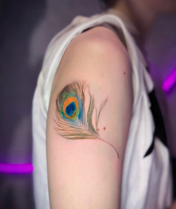 Peacock Feather