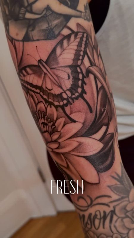 Butterfly and Lotus