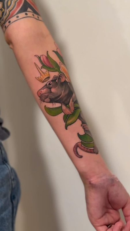 Crowned Rat
