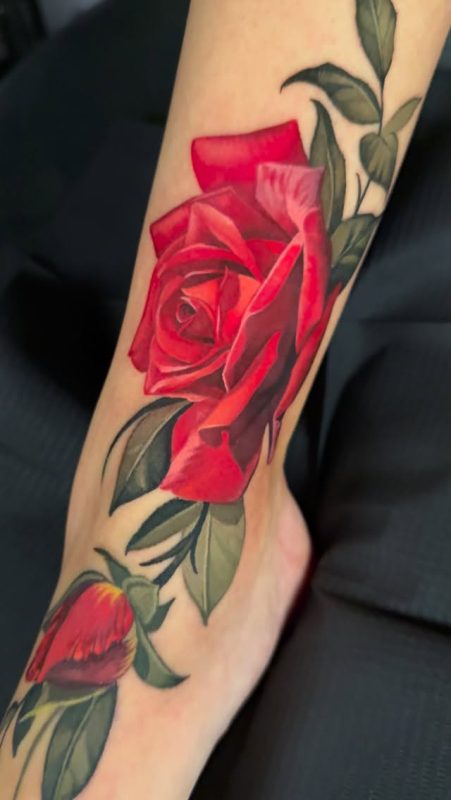 Realistic Red Rose