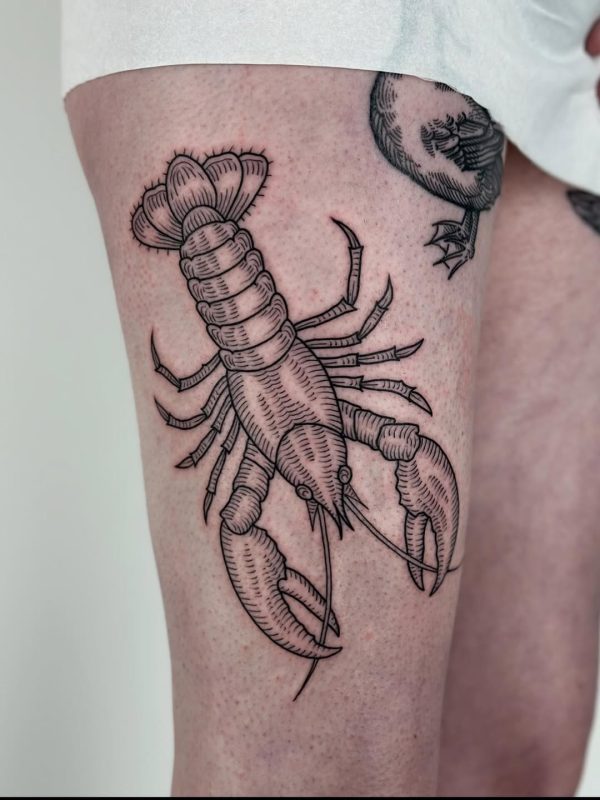 Engraved Lobster