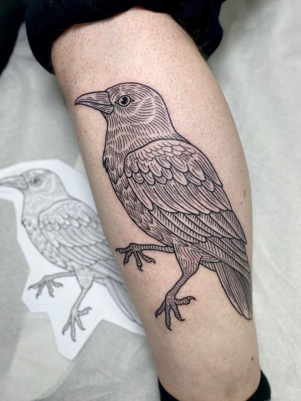 Etching Bird