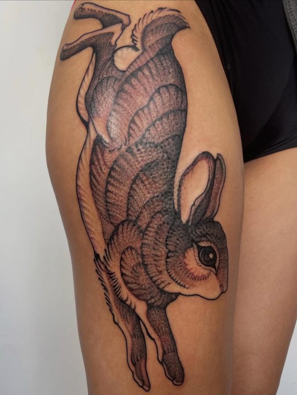 Black Gray Rabbit