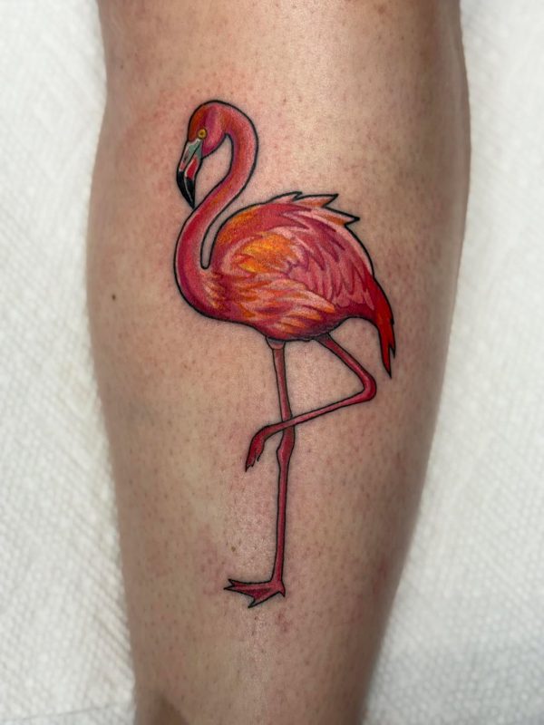 Colorful Flamingo