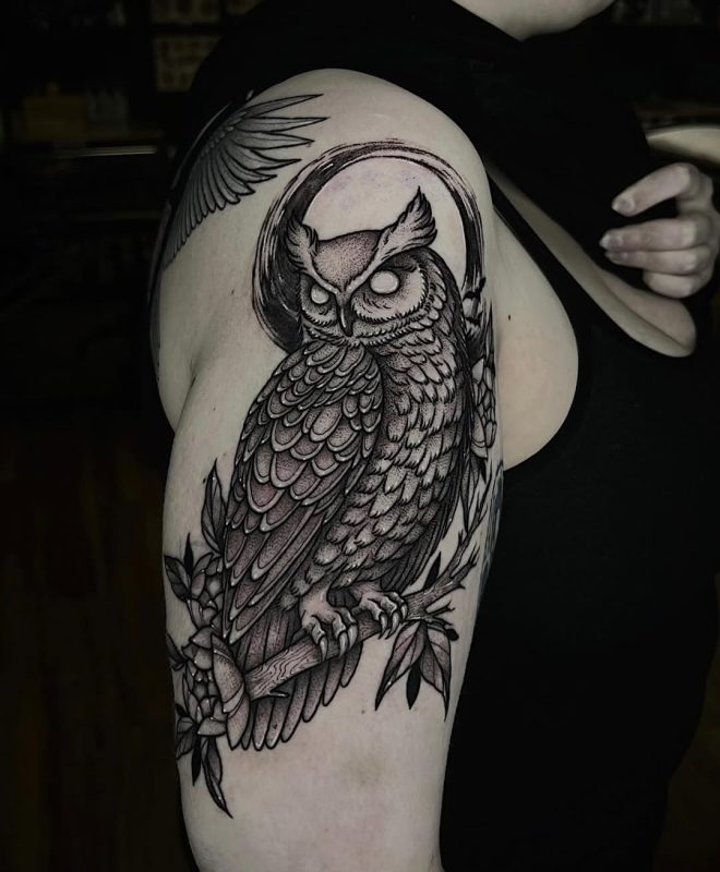 Owl on Branch