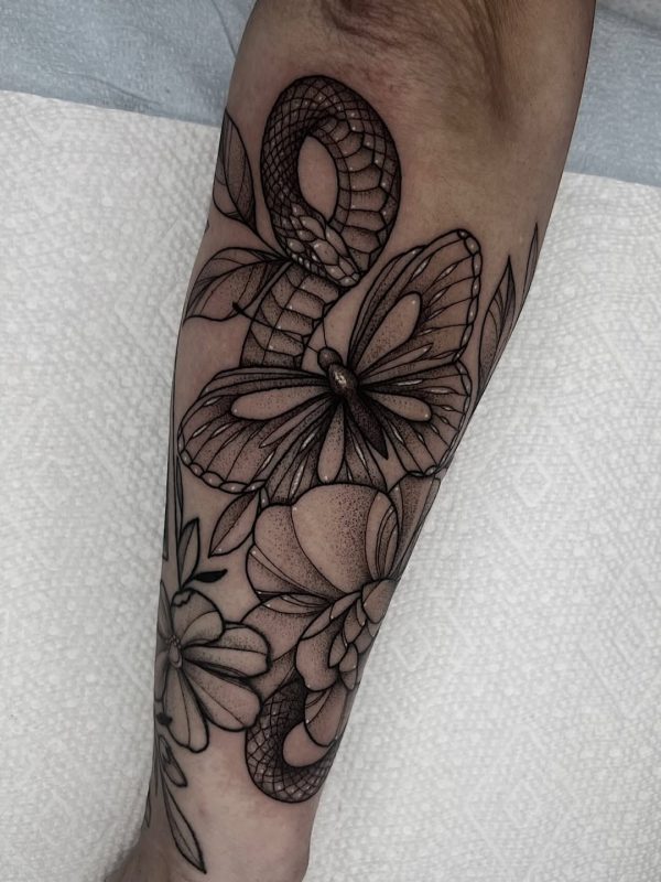 Snake Butterfly