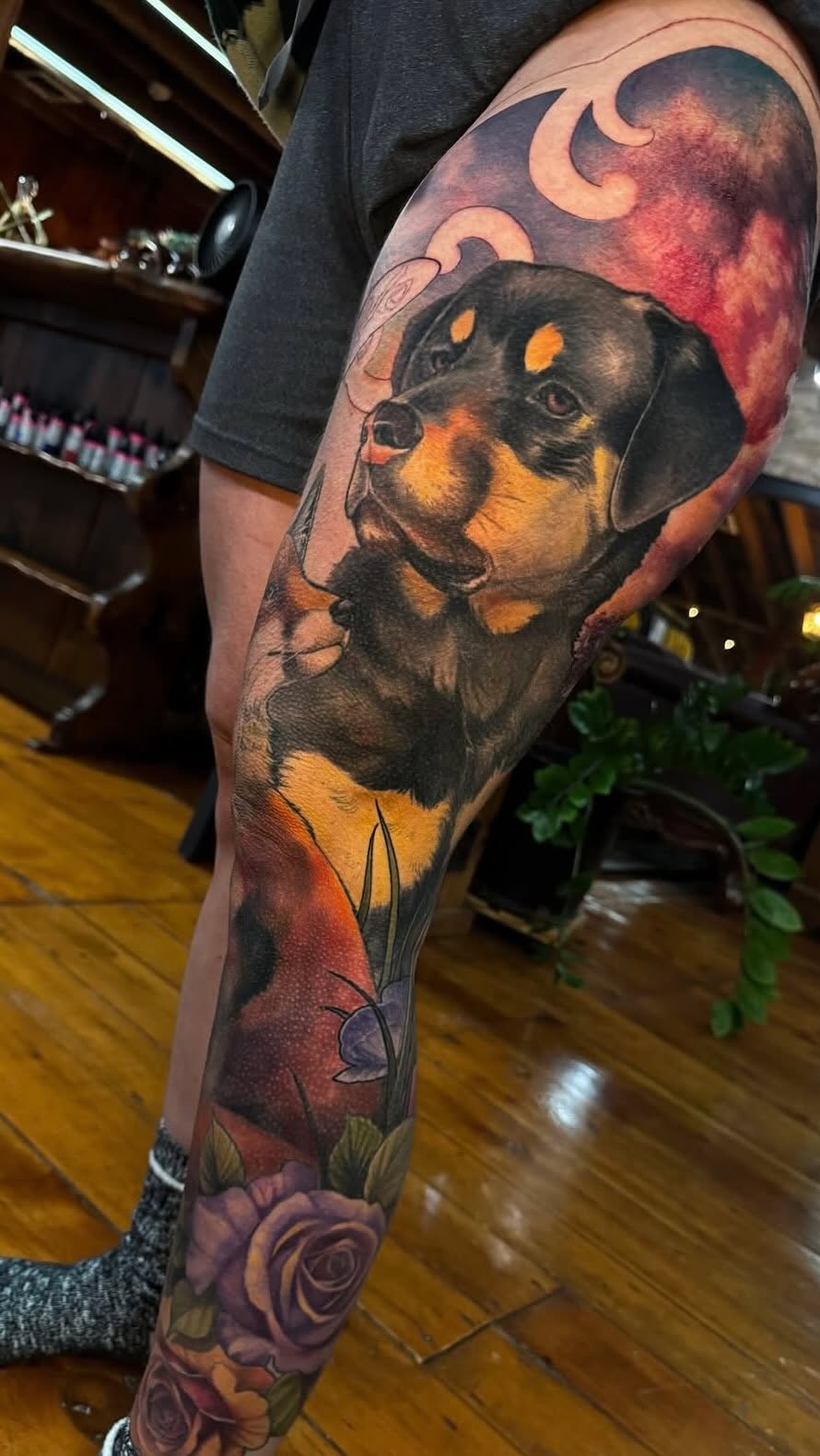 Realistic Dog Portrait