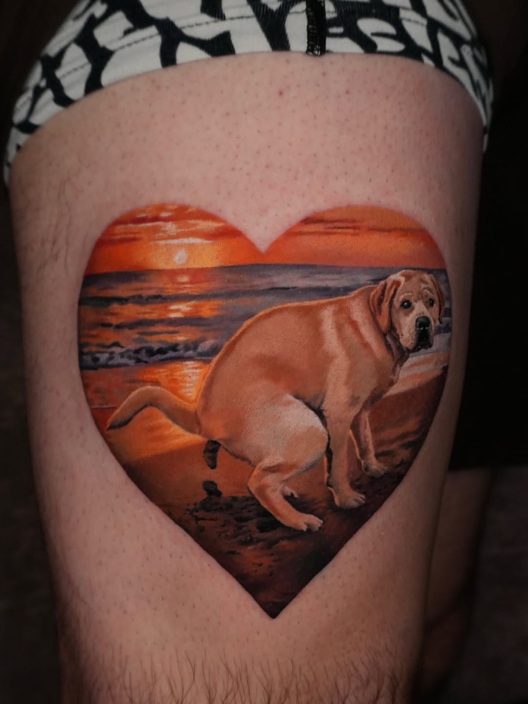 Heart Sunset Dog