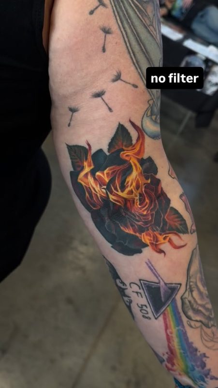 Flaming Rose