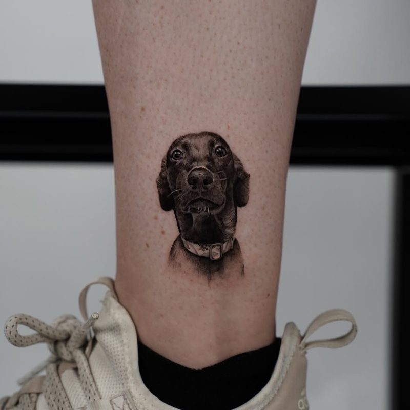 Realistic Dog Portrait