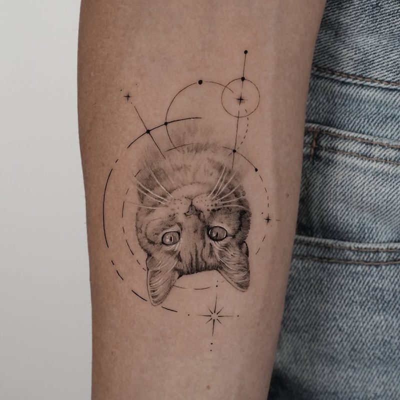 Cat with Stars