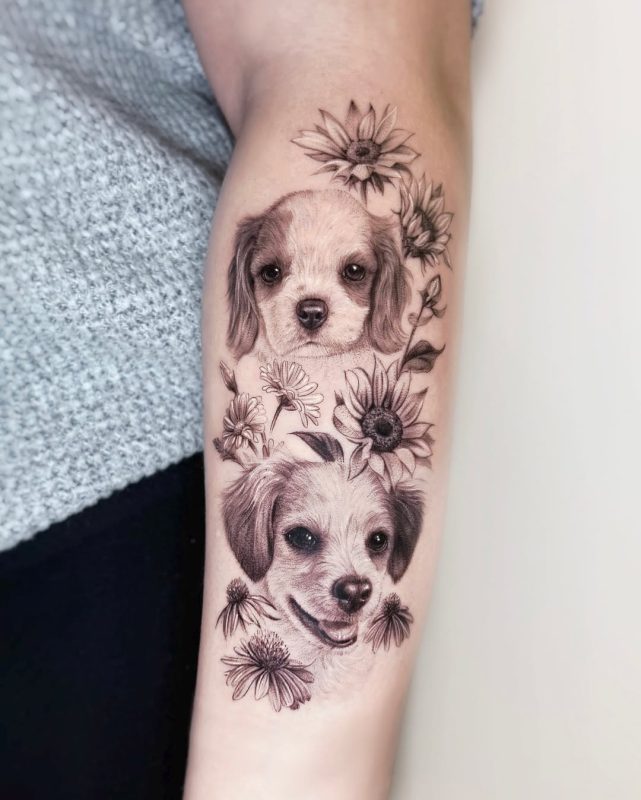 Dog Portraits
