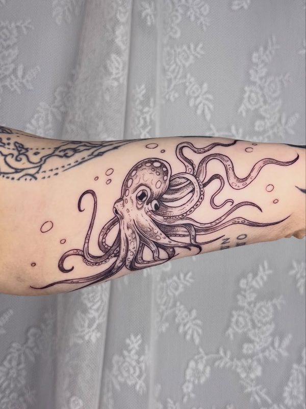 Octopus Linework