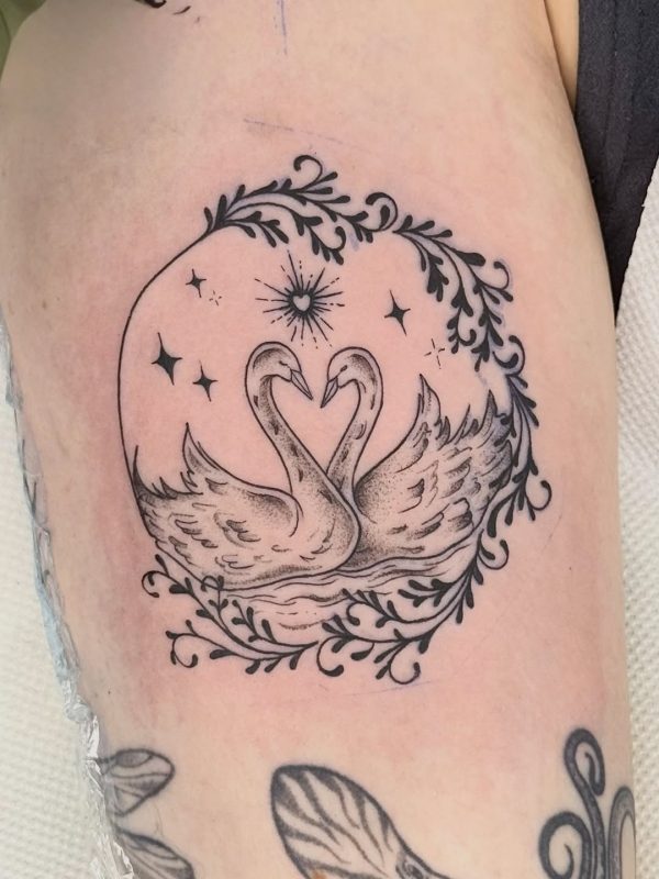 Swan Love