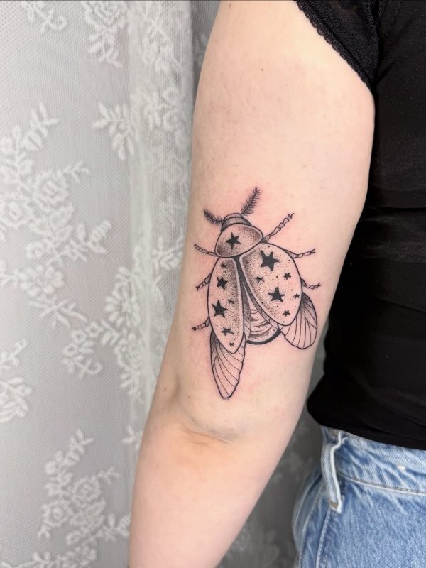Starry Beetle