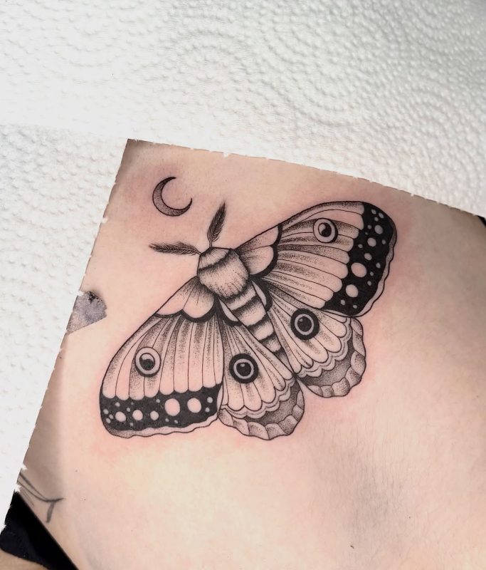 Moth and Moon