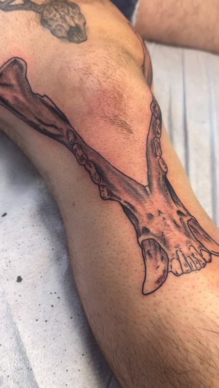 Jawbone Outline