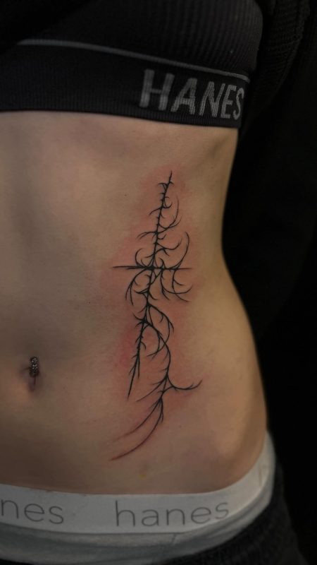 Abstract Thorn Branch