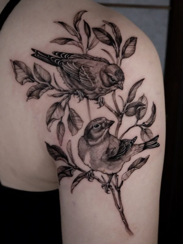 Birds on Branch