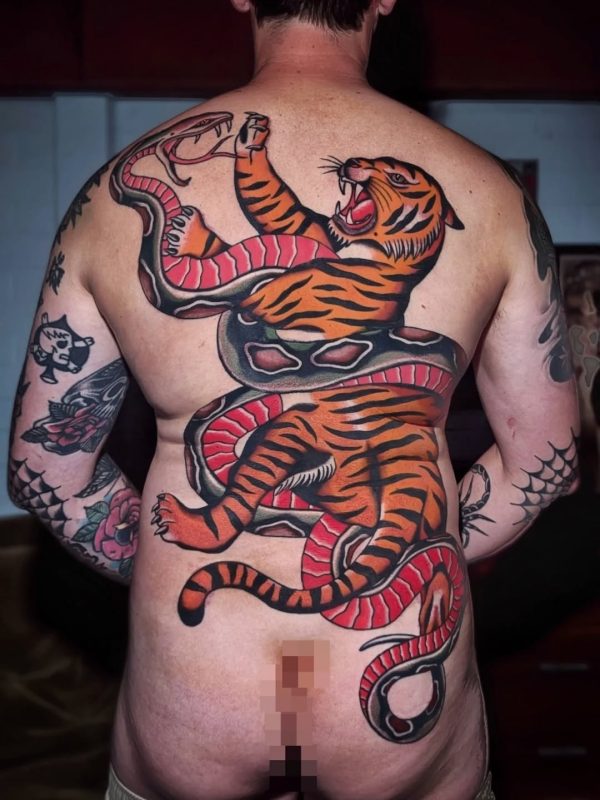 Tiger Snake Battle