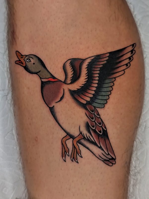 Flying Duck