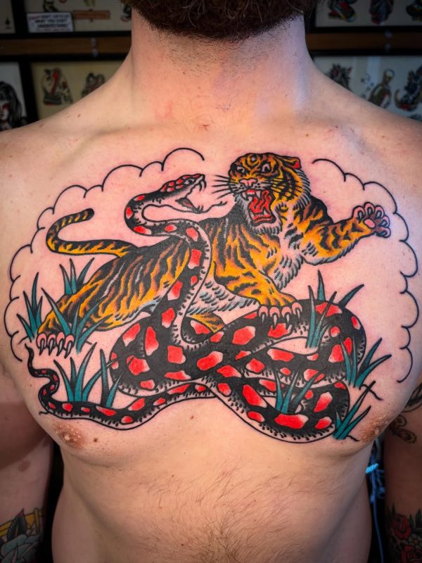 Tiger Snake Fight