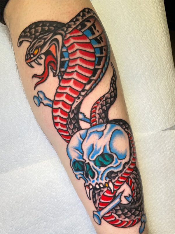 Snake Skull
