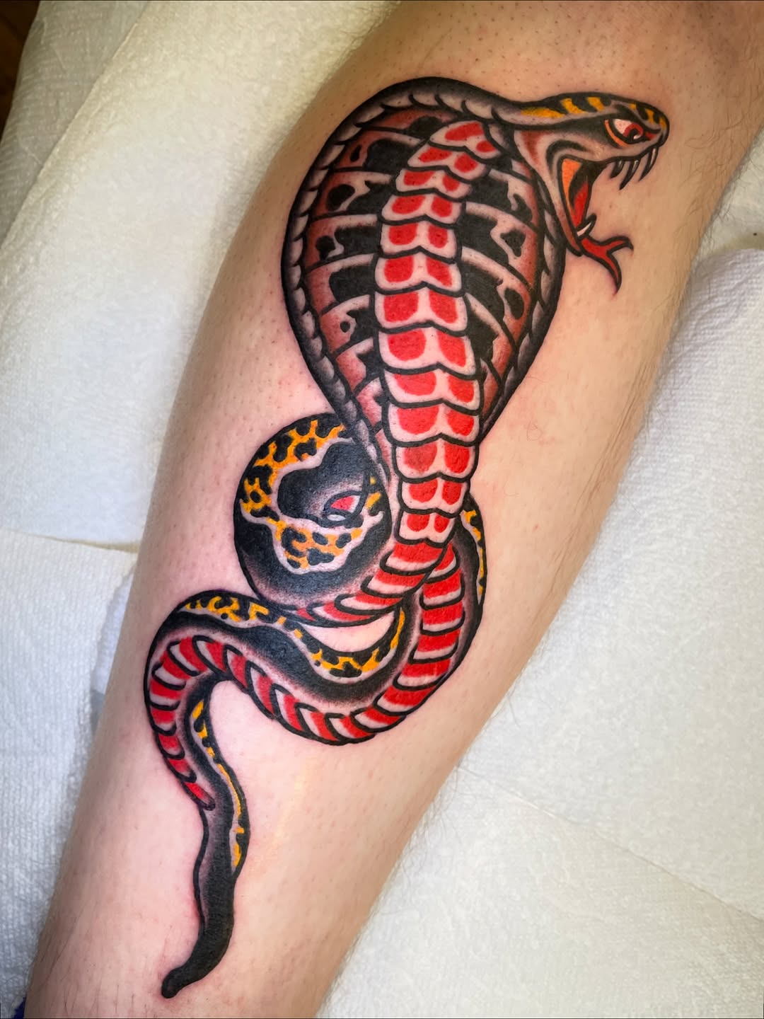 Cobra Tattoo