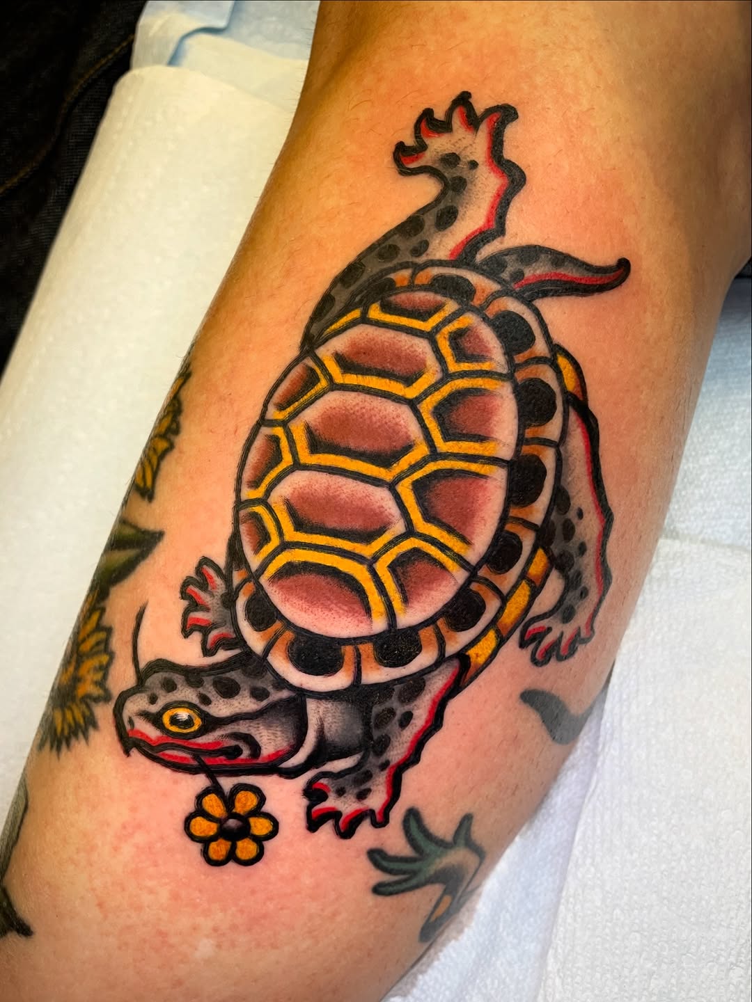 Turtle with Flower