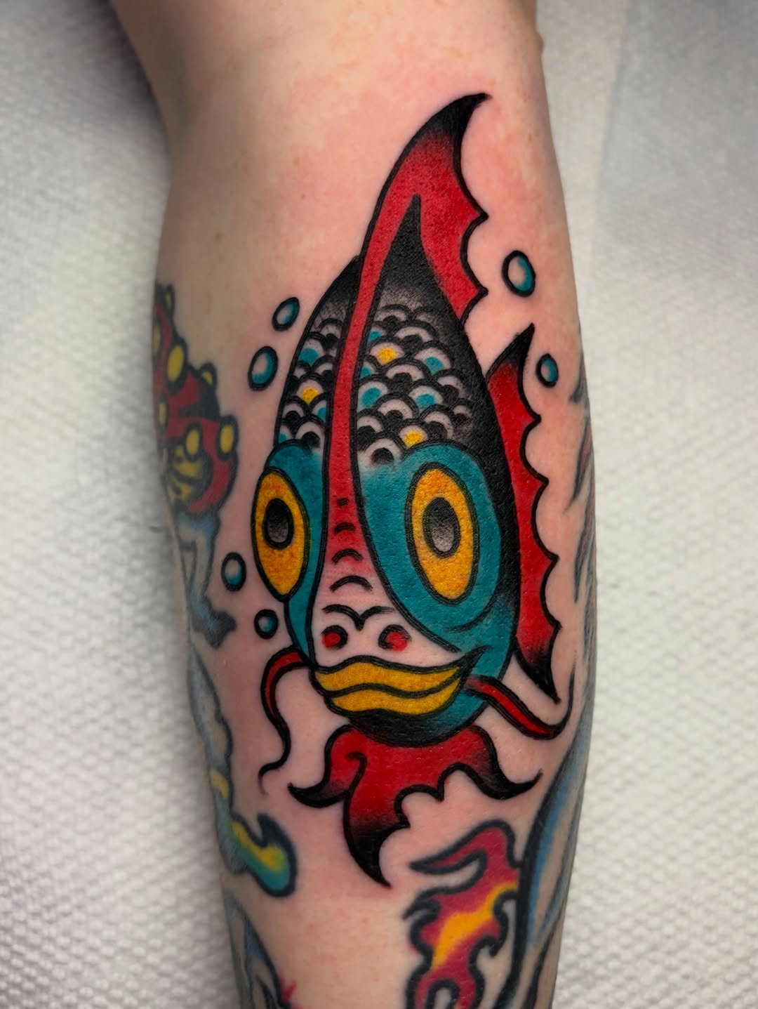 Colorful Fish