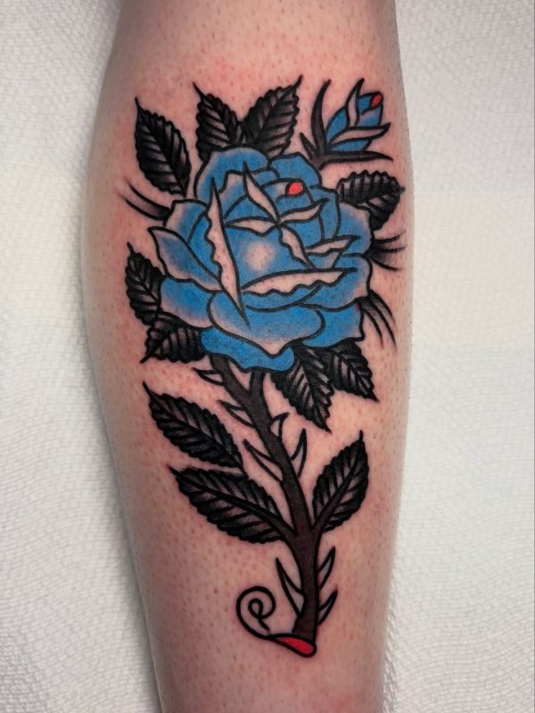 Blue Rose