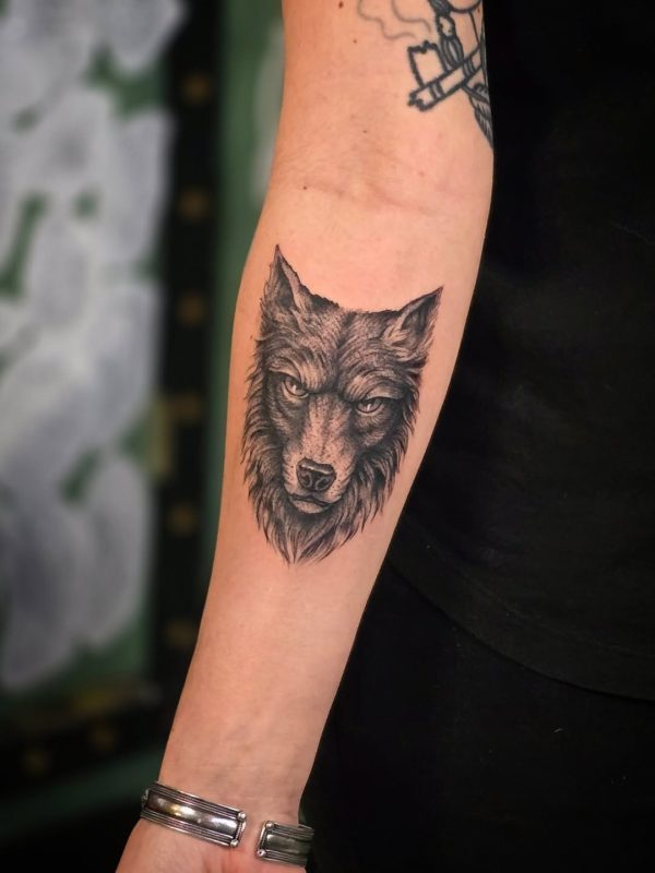 Wolf Portrait