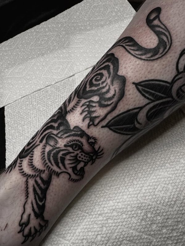 Roaring Tiger