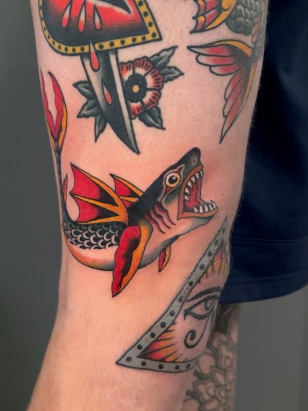 Traditional Shark